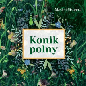 Konik polny, Maciej Stupera